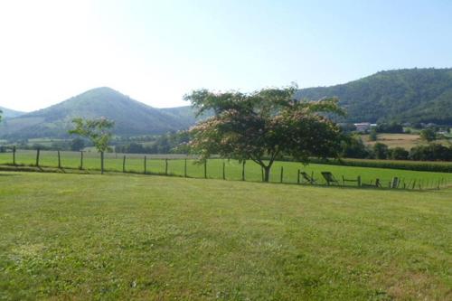 a field of grass with a fence and a tree at Gîte Etcharnia in Larceveau-Arros-Cibits