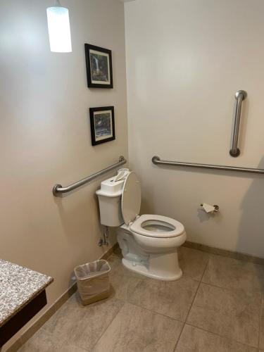 a bathroom with a white toilet in a room at Comfort Inn Connellsville Riverview in Connellsville