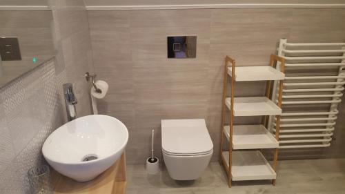 Łazienka z białą toaletą i umywalką w obiekcie Willa Monika Zieleniec w mieście Duszniki Zdrój