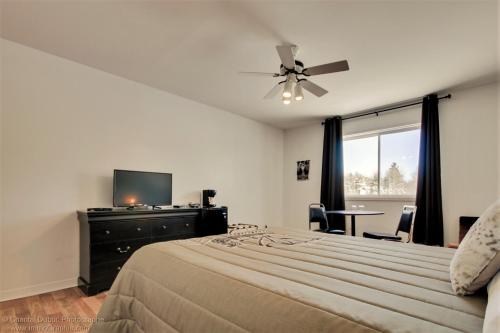 a bedroom with a bed with a ceiling fan and a television at Auberge motel drakkar in Shawinigan