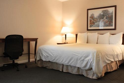 a hotel room with a bed and a desk and a chair at Alpine Inn & Suites Rockford in Rockford