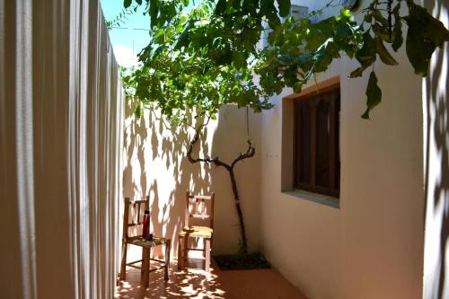 a tree in a hallway with two chairs and a window at Kamay Apart Cafayate in Cafayate