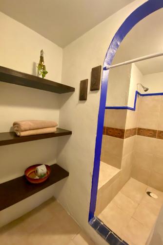 a bathroom with a shower and a cat in a bowl at Casa CARIBE Cancun in Cancún