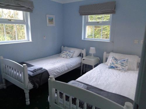 a bedroom with two twin beds and two windows at Old Stone Cottage in Llandysul