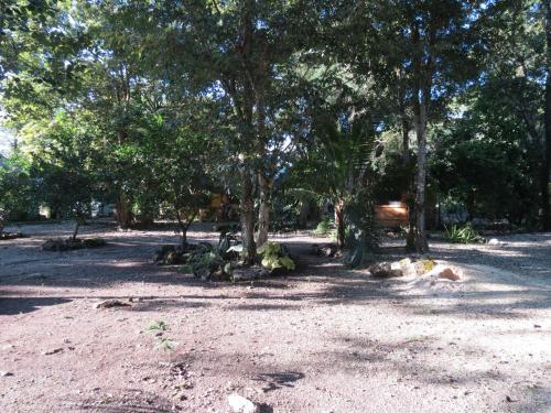 a park with trees and rocks on the ground at Cabañas Calakmul in Conhuas