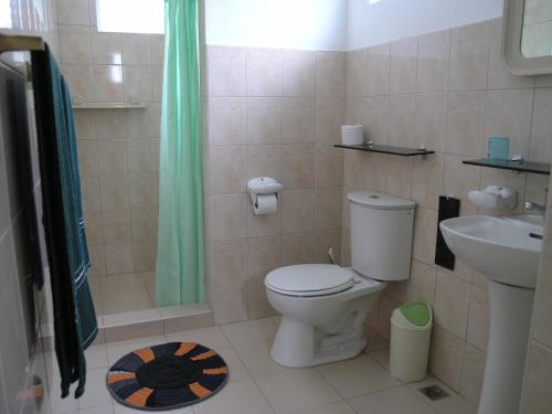 a bathroom with a toilet and a sink at Marcosas Cottages Resort in Moalboal