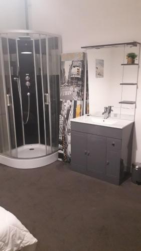 ein Bad mit einem Waschbecken und einer Dusche mit einem Spiegel in der Unterkunft Chambres d'Hotes Centre Ville in Agen