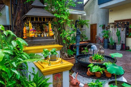 a garden with a fountain and plants in a building at Ban Kong Rao Guesthouse in Chiang Mai