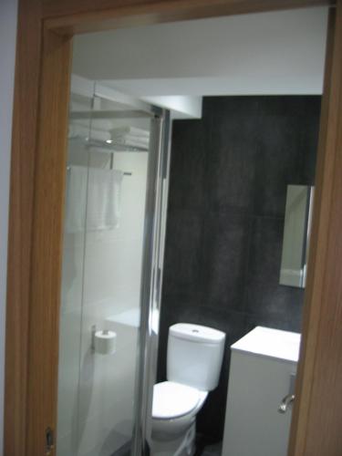 a bathroom with a toilet and a glass shower at Hostal Libertad in Gijón