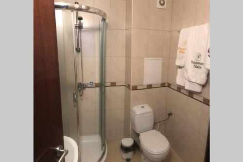 La salle de bains est pourvue de toilettes et d'une douche en verre. dans l'établissement Апартамент Пампорово Палас - Pamporovo Palace, à Pamporovo