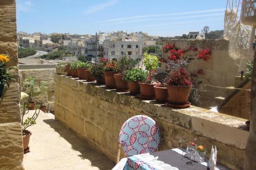 a row of potted plants sitting on a wall at 400YR Farmhouse in Xaghra Gozo - Entire Farmhouse in Tal-Barmil