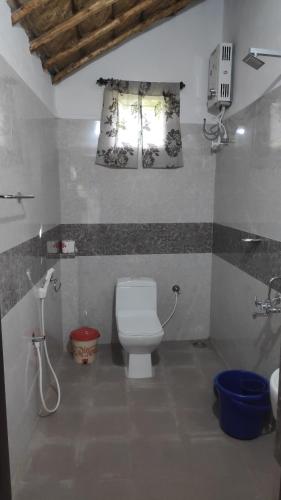 a bathroom with a toilet and a window at Little Banana Homestay in Hampi