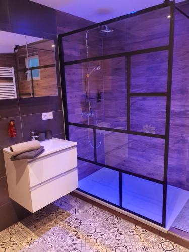 uma casa de banho com uma cabina de duche em vidro e um lavatório. em Appartementhaus Zraunig em Flattach