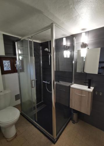 une salle de bain avec une douche, des toilettes et un lavabo dans l'établissement gîte de l'olivier - 3 étoiles - domaine de l'olivier, à Faugères