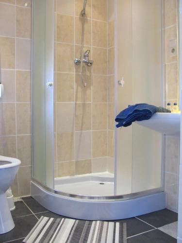 a shower in a bathroom with a sink and a toilet at Rogozen B&B in Rogozen