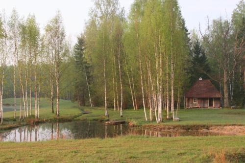 a cabin in a field with a pond and trees at Miškiniškės in Ignalina