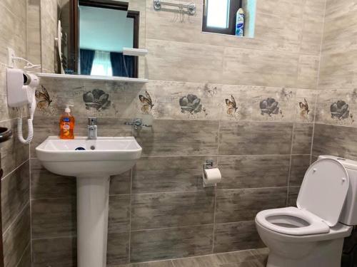 łazienka z umywalką i toaletą w obiekcie Villa Baghdo Bakuriani w mieście Bakuriani