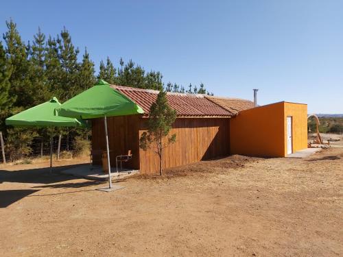 a green umbrella in front of a building at Willy's Country Club Cauquenes in De Cauquenes