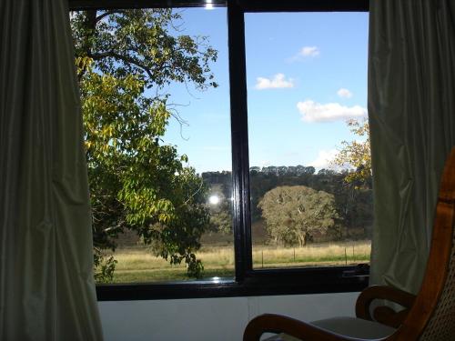 a window with a view of a field and a tree at Black Sheep Inn in Orange