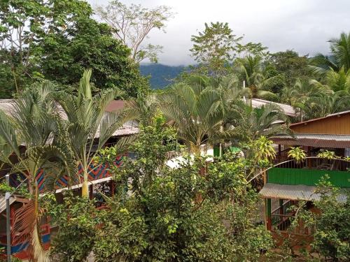 a resort with trees and mountains in the background at Cabaña Villa Sofi in Nuquí