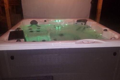 a bath tub filled with green water in a bathroom at Appartement dans maison à Corbelin proche Walibi in Corbelin