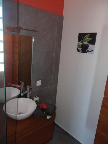 a bathroom with a sink and a mirror at Les Balcons du Parc in Petit-Bourg