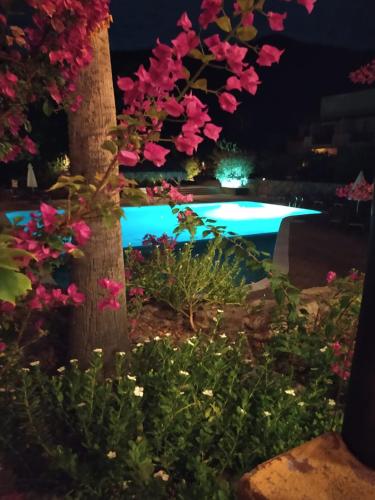 Πισίνα στο ή κοντά στο Tripui Hotel