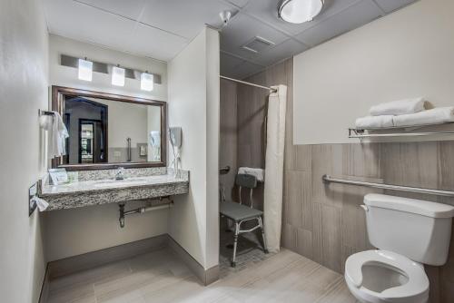 a bathroom with a toilet and a sink and a mirror at AmericInn by Wyndham Coon Rapids in Coon Rapids