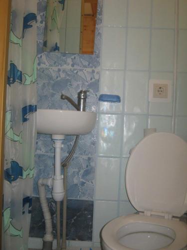 Phòng tắm tại Karpaty Gutsulska Sadyba