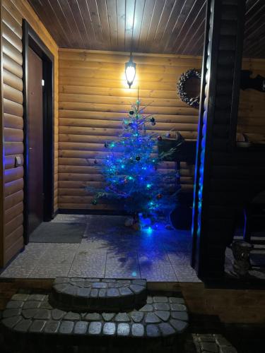 a blue christmas tree with blue lights in a house at Grisli house in Gauja
