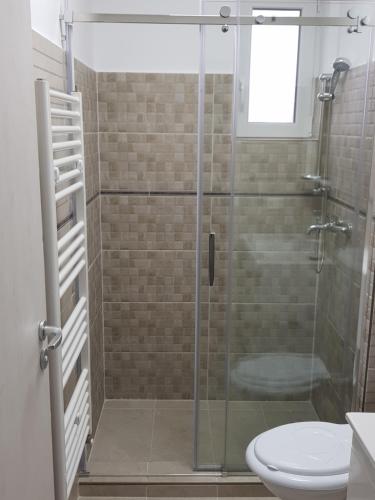 a bathroom with a glass shower with a toilet at Happy Residence in Vişeu de Sus
