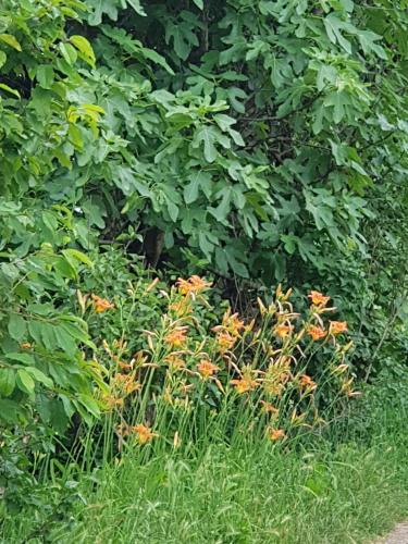 Gallery image of Az.Agr.Cascina Moretta in Momo