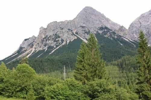a group of trees in front of a mountain at Gästehaus Panorama in Biberwier