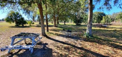 a bench and a grill in a park with trees at Quality Inn White Springs Suwanee in Live Oak