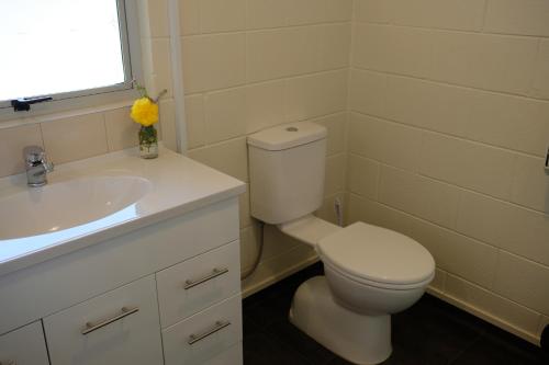 a bathroom with a white toilet and a sink at Montana Lodge Motel in Blenheim