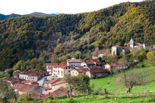 a village on a hill with houses and trees at Apartamentos Los Picos de Europa in Colio