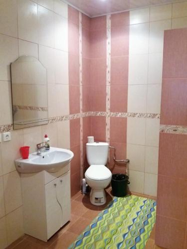 a bathroom with a toilet and a sink at Отель центр Трускавца in Truskavets