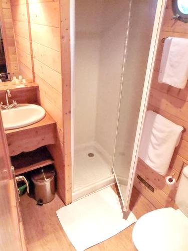 La petite salle de bains est pourvue d'une douche et d'un lavabo. dans l'établissement Studio enchanteur à Pauilhac - 21 m² avec piscine partagée, à Pauilhac