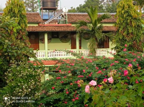 索拉哈的住宿－Hotel Rhino Land, Sauraha，前面有一束鲜花的房子