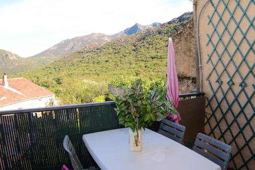 Appartement de 2 chambres avec vue sur la mer et terrasse amenagee a Muro a 1 km des pistes