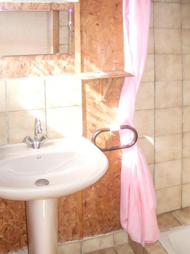 La salle de bains est pourvue d'un lavabo et d'un rideau de douche rose. dans l'établissement Chalet charmant à Saint-Gérons avec piscine partagée, à Saint-Gérons