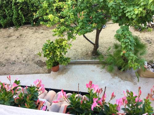 Κήπος έξω από το Cozy house in Chieti with private garden
