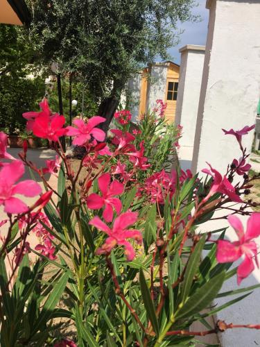 Κήπος έξω από το Cozy house in Chieti with private garden