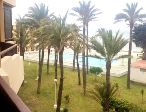 ラ・マンガ・デル・マール・メノールにある2 bedrooms appartement at San Javier 100 m away from the beach with sea view shared pool and furnished balconyのヤシの木とプールのあるリゾートの景色を望めます。