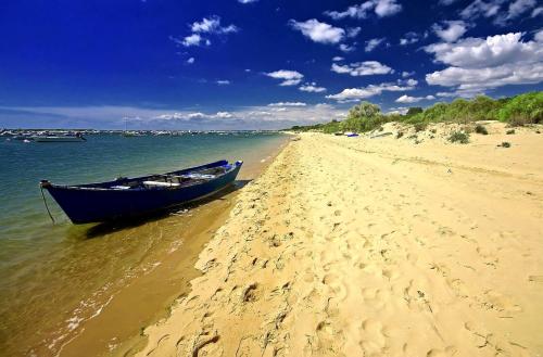 a blue boat sitting on the shore of a beach at Charming apartment in El Rompido with sea view in El Rompido