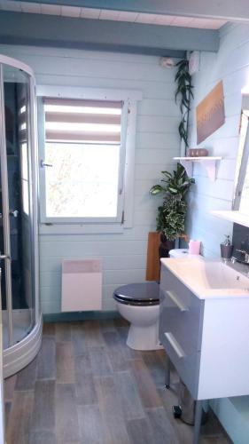 une salle de bain avec toilettes, lavabo et fenêtre dans l'établissement Chalet charmant à Dausse avec piscine et jardin, à Dausse