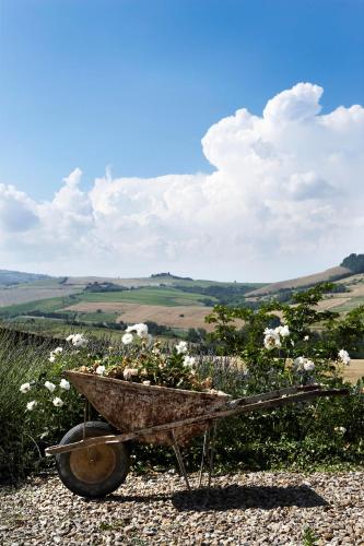 a wheelbarrow filled with flowers on top of a hill at Locanda Palazzone in Orvieto