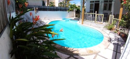 a swimming pool in a yard next to a house at 3 bedrooms apartement at Pamplemousses 800 m away from the beach with private pool enclosed garden and wifi in Pamplemousses Village