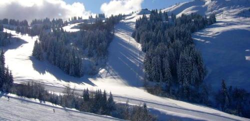 een luchtzicht op een besneeuwde helling met bomen bij Studio a Les Gets a 300 m des pistes avec jardin et wifi in Les Gets