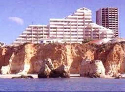 un edificio sentado en lo alto de un acantilado junto al agua en Comfortable apartment in Praia da Rocha 70 m² with sea view 4 pers, en Portimão